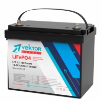 VEKTOR LFP 12-100 -   "", 